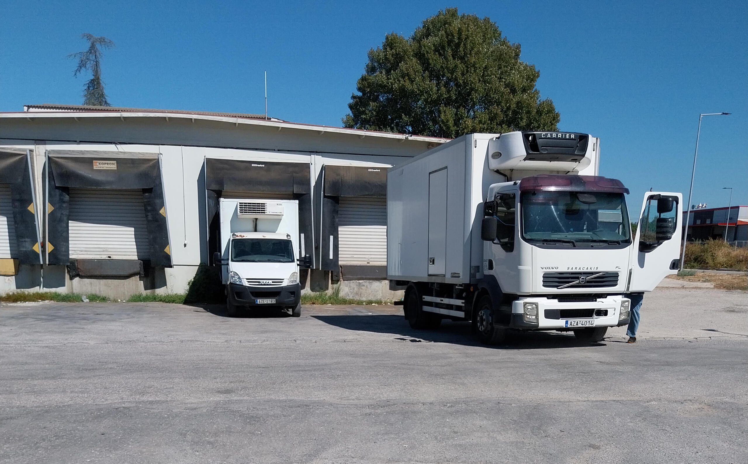 Αγορά Κρεάτων Δυτικής Ελλάδας Χονδρικο εμποριο χοιρινού κρεατος, Αγορά Κρέατος. Καλές τιμές- Άριστη ποιότητα