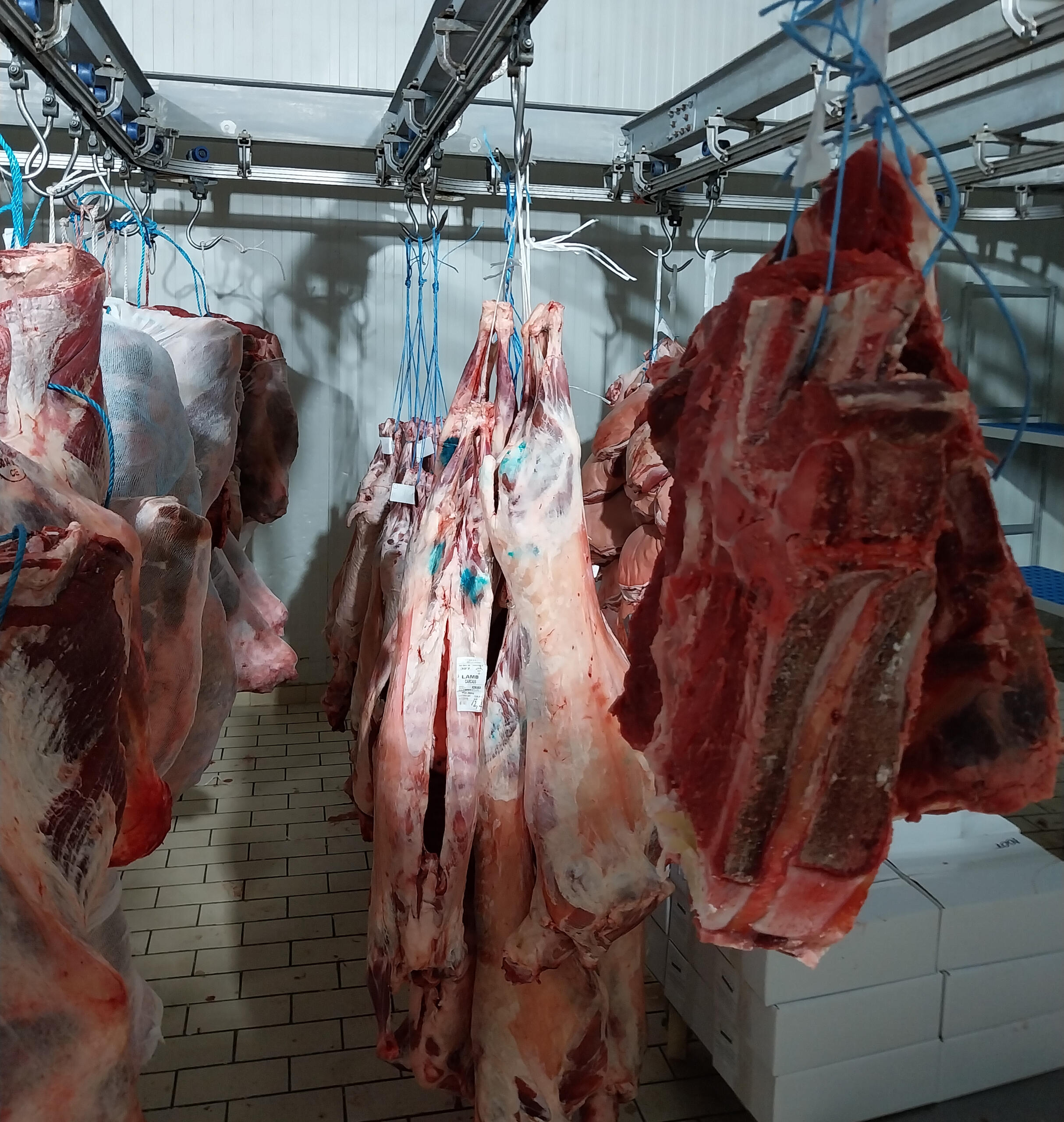 Αγορά Κρεάτων Δυτικής Ελλάδας Χονδρικο εμποριο χοιρινού κρεατος, Αγορά Κρέατος. Καλές τιμές- Άριστη ποιότητα