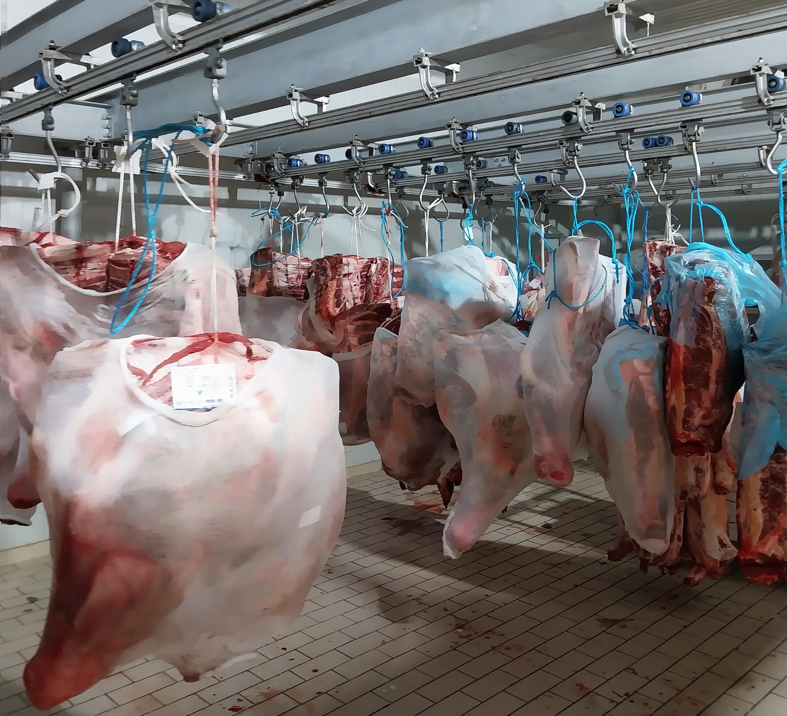 Αγορά Κρεάτων Δυτικής Ελλάδας Χονδρικο εμποριο χοιρινού κρεατος, Αγορά Κρέατος. Καλές τιμές- Άριστη ποιότητα