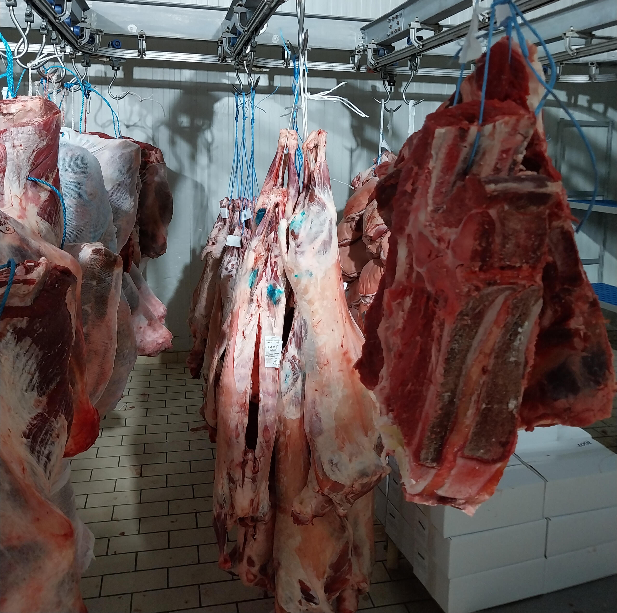 Αγορά Κρεάτων Δυτικής Ελλάδας Χονδρικο εμποριο χοιρινού κρεατος, Αγορά Κρέατος. Καλές τιμές- Άριστη ποιότητα