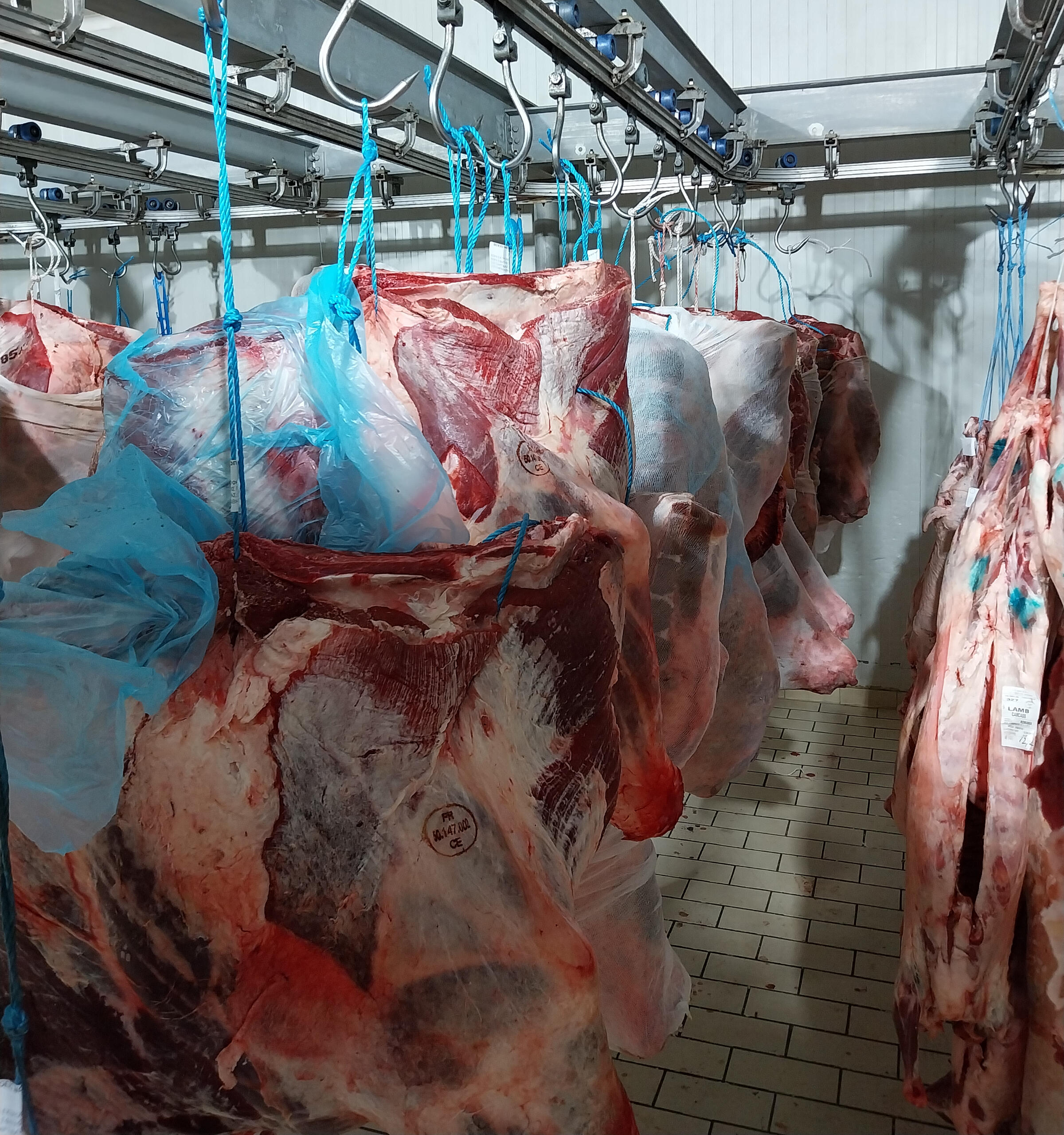 Αγορά Κρεάτων Δυτικής Ελλάδας Χονδρικο εμποριο χοιρινού κρεατος, Αγορά Κρέατος. Καλές τιμές- Άριστη ποιότητα