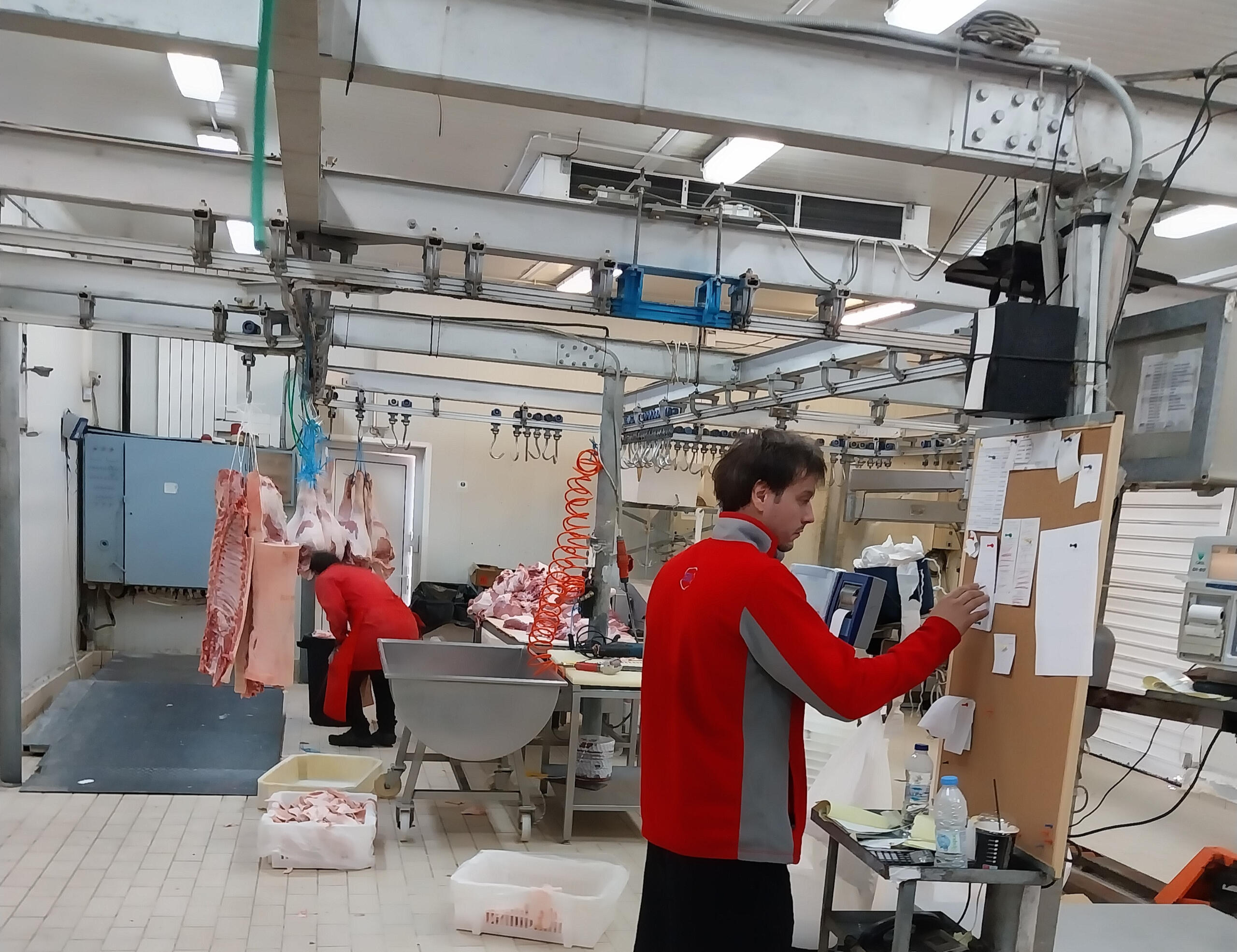 Αγορά Κρεάτων Δυτικής Ελλάδας Χονδρικο εμποριο χοιρινού κρεατος, Αγορά Κρέατος. Καλές τιμές- Άριστη ποιότητα