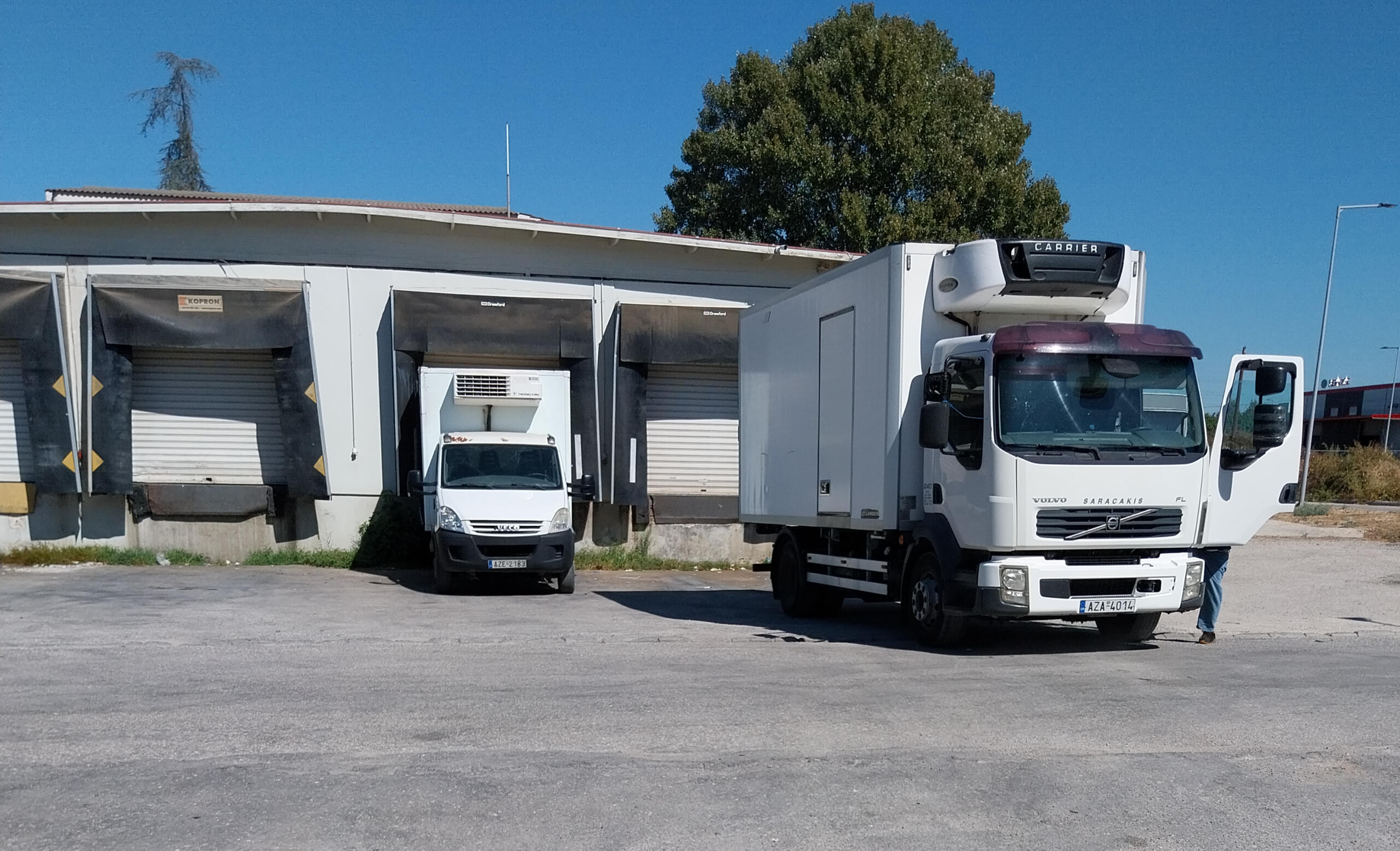 Αγορά Κρεάτων Δυτικής Ελλάδας Χονδρικο εμποριο χοιρινού κρεατος, Αγορά Κρέατος. Καλές τιμές- Άριστη ποιότητα